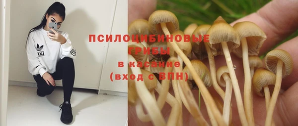 трава Аркадак