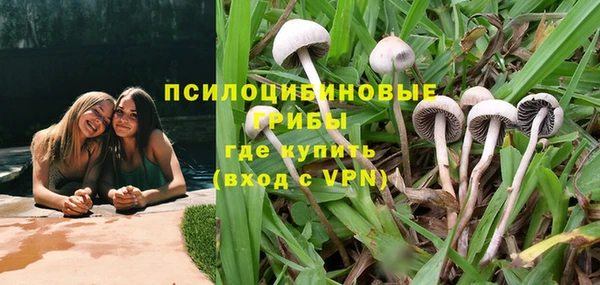 трава Аркадак