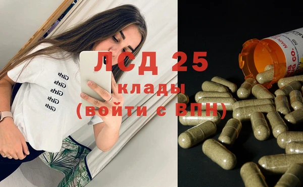ПСИЛОЦИБИНОВЫЕ ГРИБЫ Арсеньев