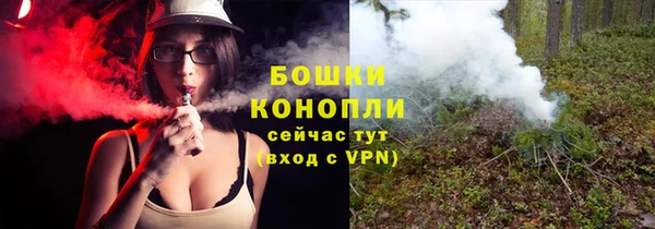 ПСИЛОЦИБИНОВЫЕ ГРИБЫ Арсеньев