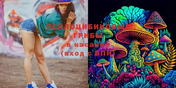 трава Аркадак